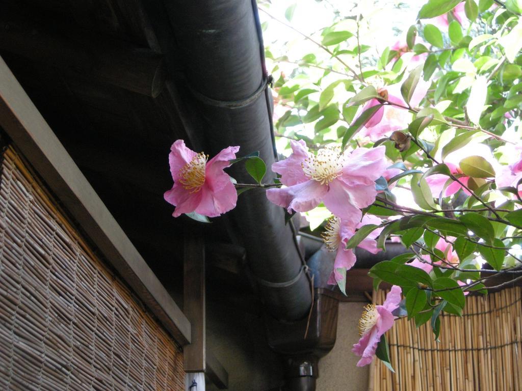 Guesthouse Itoya Киото Экстерьер фото